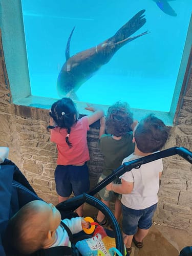 Enfants fascinés par un phoque dans un aquarium au zoo