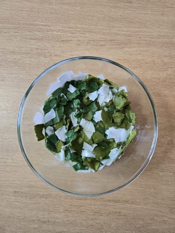 Papier déchiré dans un saladier, en train de tremper pour fabriquer une carte à semer