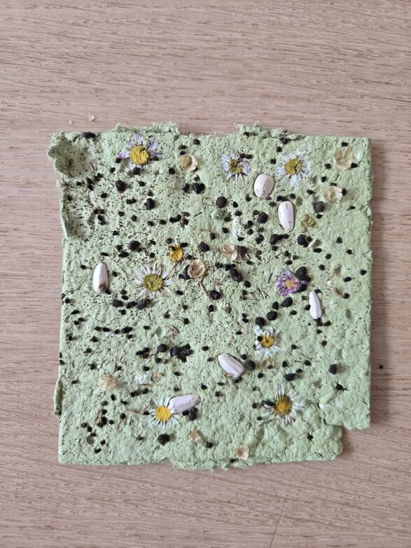 Carte à semer verte décorée de fleurs séchées et de graines