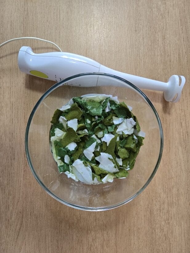 Papier déchiré dans un saladier avec un mixeur plongeant prêt à être utilisé pour fabriquer une carte à semer