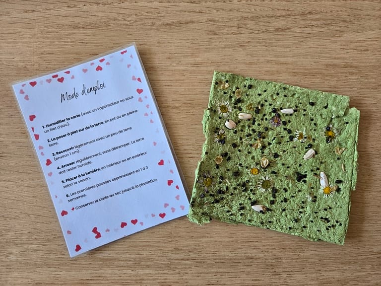 Carte à semer verte accompagnée de son mode d’emploi imprimé